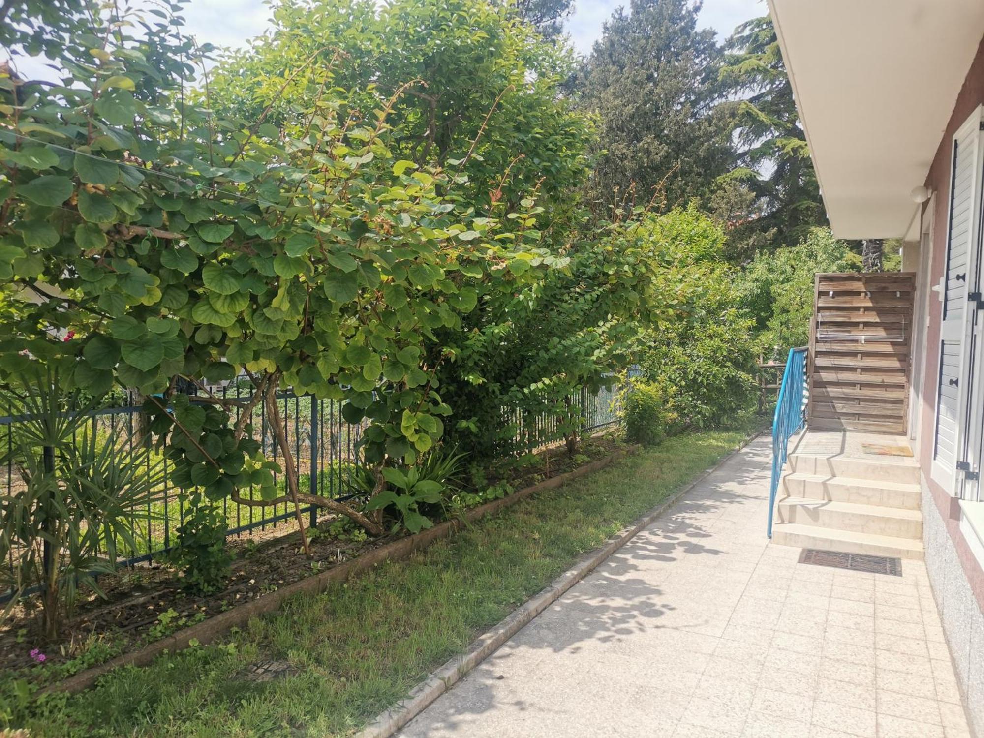 Pri Noni "Istracycle" Apartment Lucija Bagian luar foto